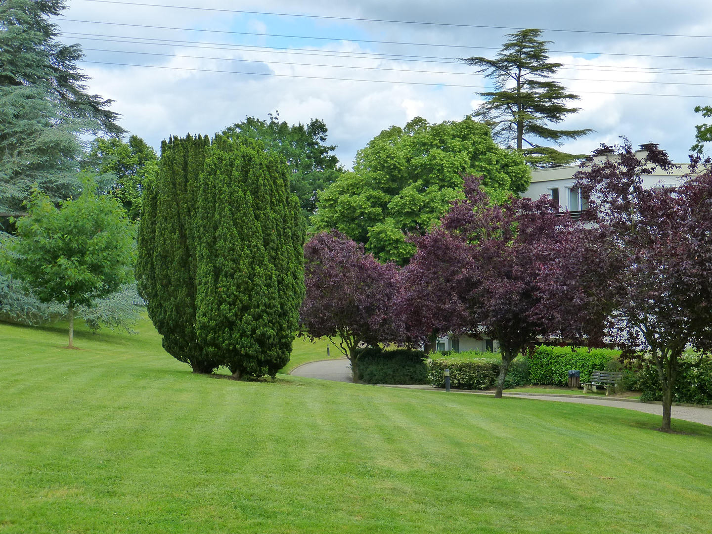 ARPAYSAGE paysagiste Bonnelles et alentours