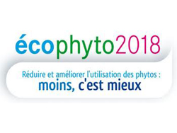 ARPAYSAGE paysagiste Bonnelles et alentours
